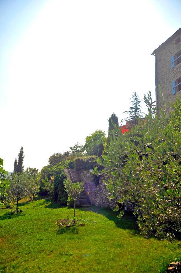 Ruine-Motovun Dh别墅 外观 照片